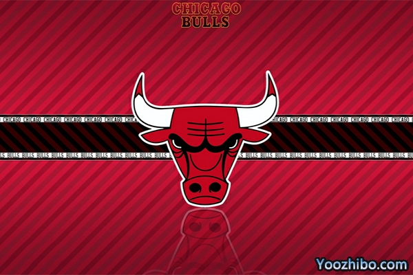 <a href=/lanqiusai/bulls/ target=_blank class=infotextkey>公牛</a>队队徽